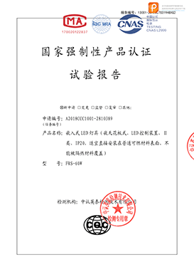 工程燈安全形式檢驗報告